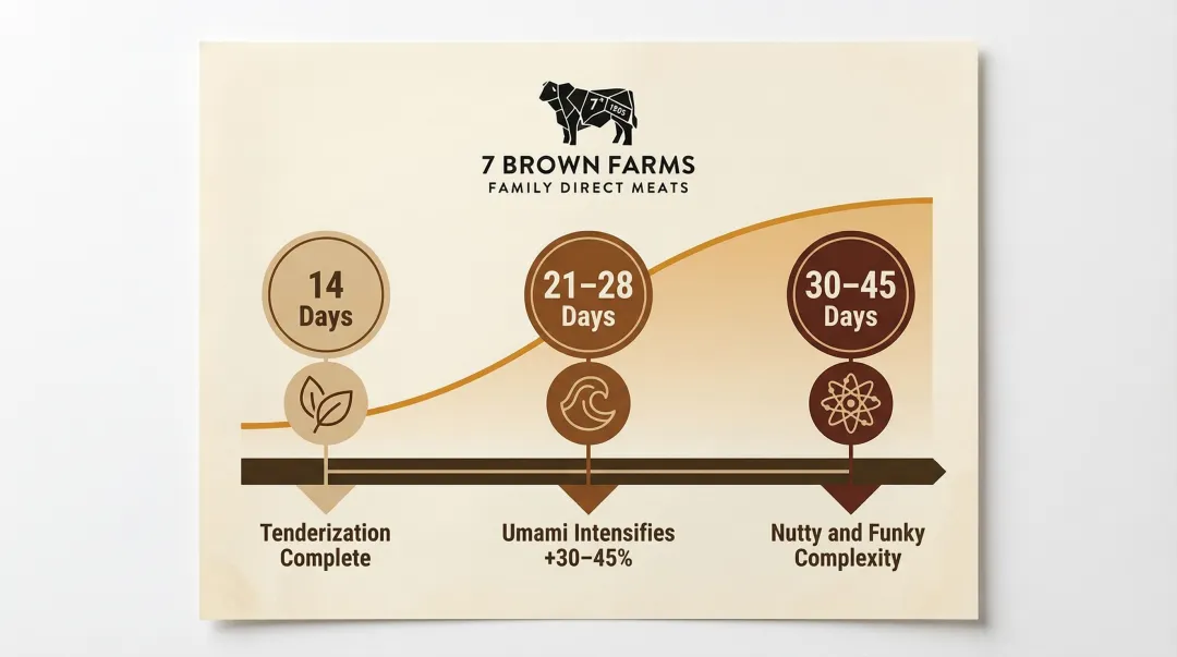 Dry-aged beef flavor development timeline from 14 to 45 days aging