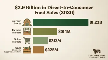 US direct-to-consumer food sales breakdown by channel in 2020 dollars