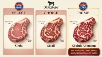 USDA beef grading comparison chart showing Prime Choice Select marbling levels