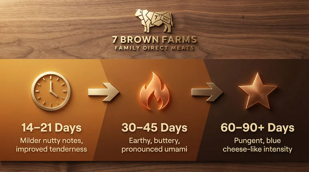 Dry-aged ribeye flavor intensity timeline across three aging duration stages