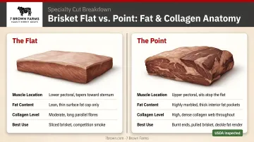 Brisket flat versus point muscle anatomy fat and collagen comparison infographic