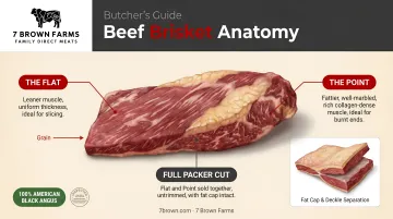 Beef brisket anatomy diagram showing flat point and full packer cut