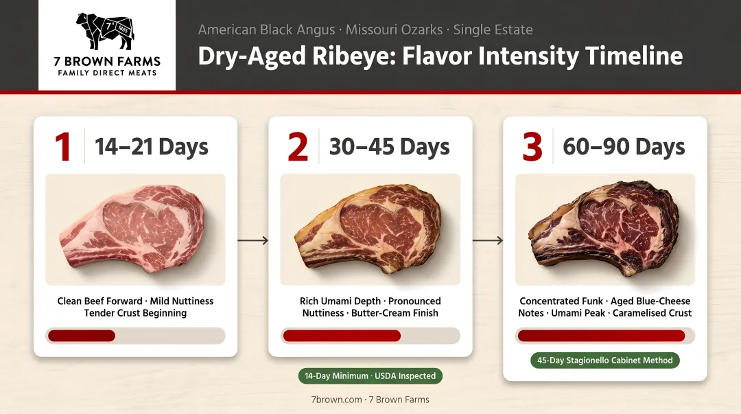 Dry-aged ribeye flavor intensity timeline across three aging duration stages