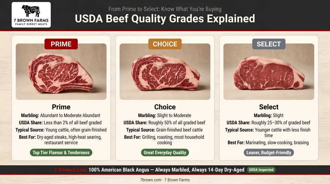 USDA beef quality grades comparison chart from Prime to Select explained