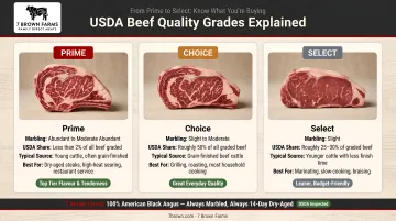 USDA beef quality grades comparison chart from Prime to Select explained