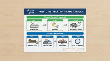 Infographic