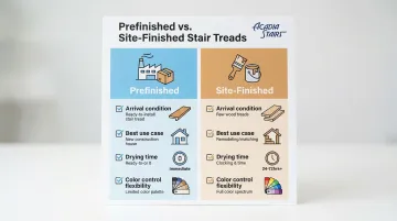 Infographic