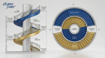Infographic