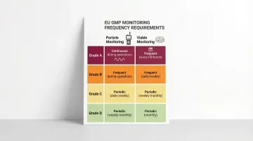 Infographic