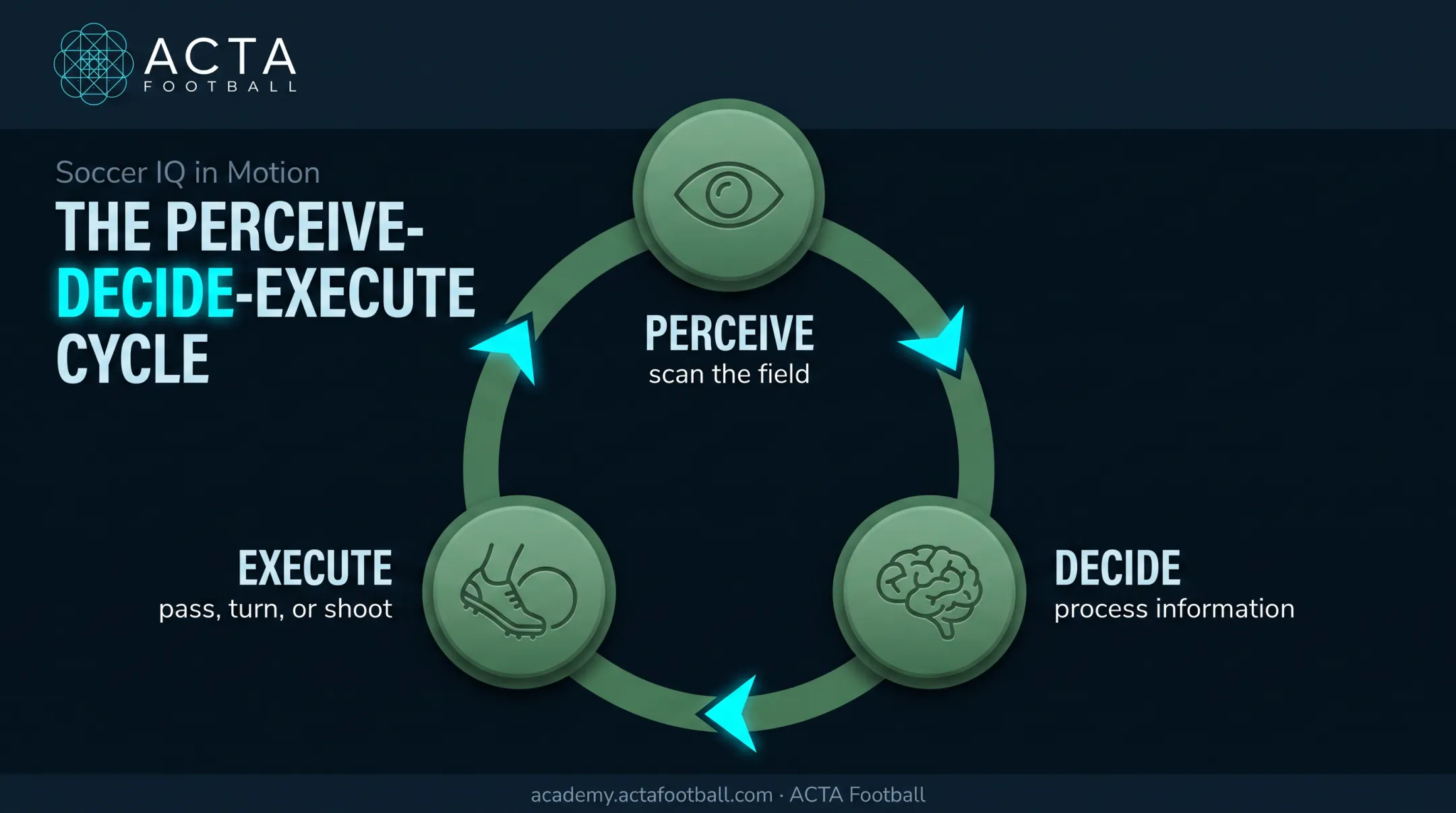 Perceive decide execute cycle diagram for soccer scanning