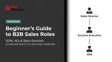 Beginner's Guide to B2B Sales Roles