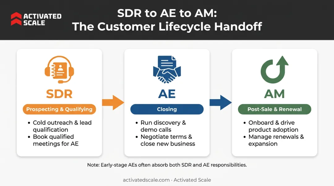 AE vs SDR vs AM sales role comparison infographic breakdown