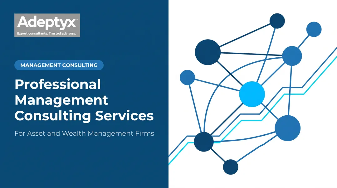 Professional Management Consulting Services