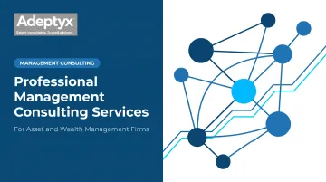 Professional Management Consulting Services
