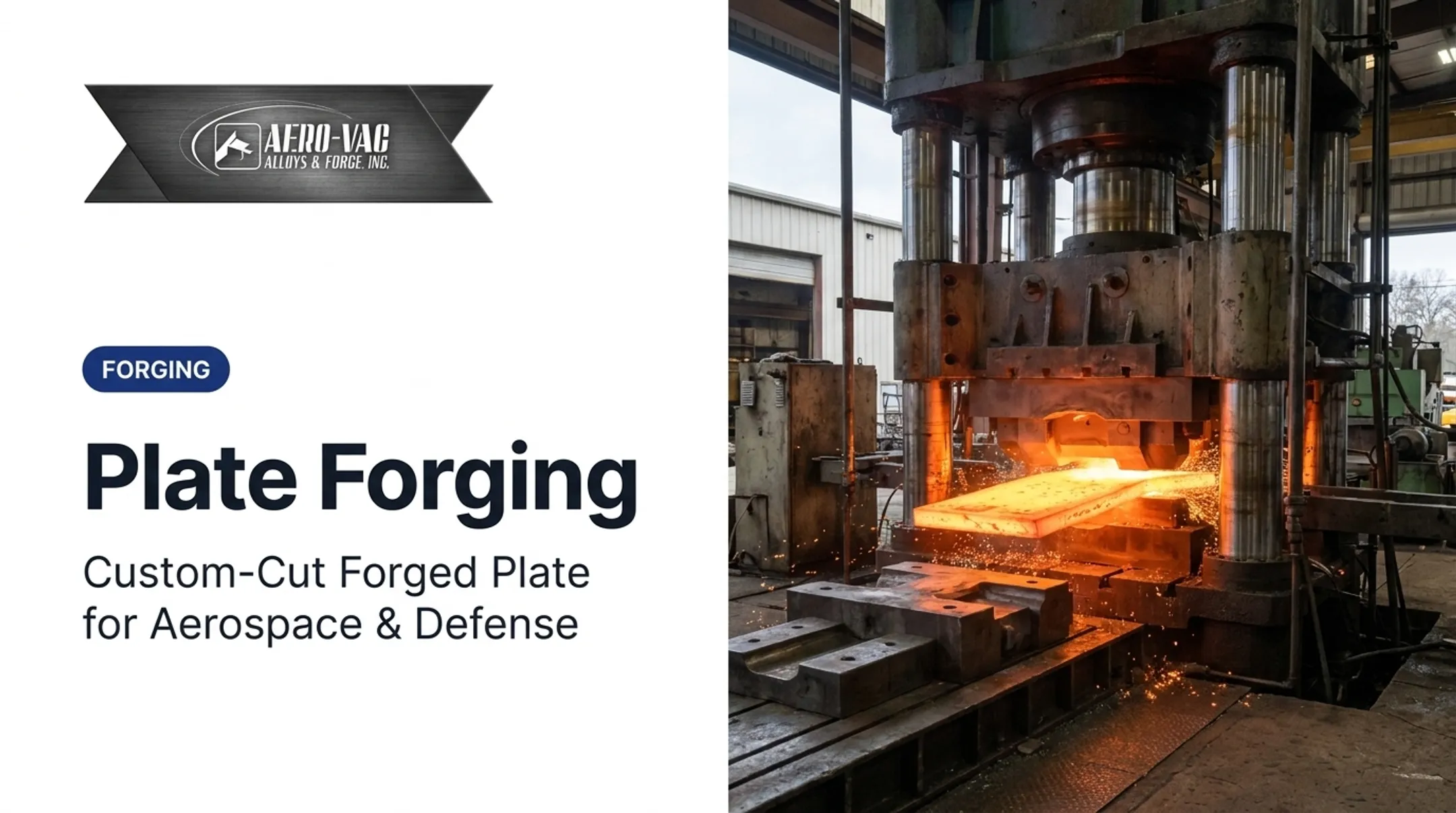 Plate Forging
