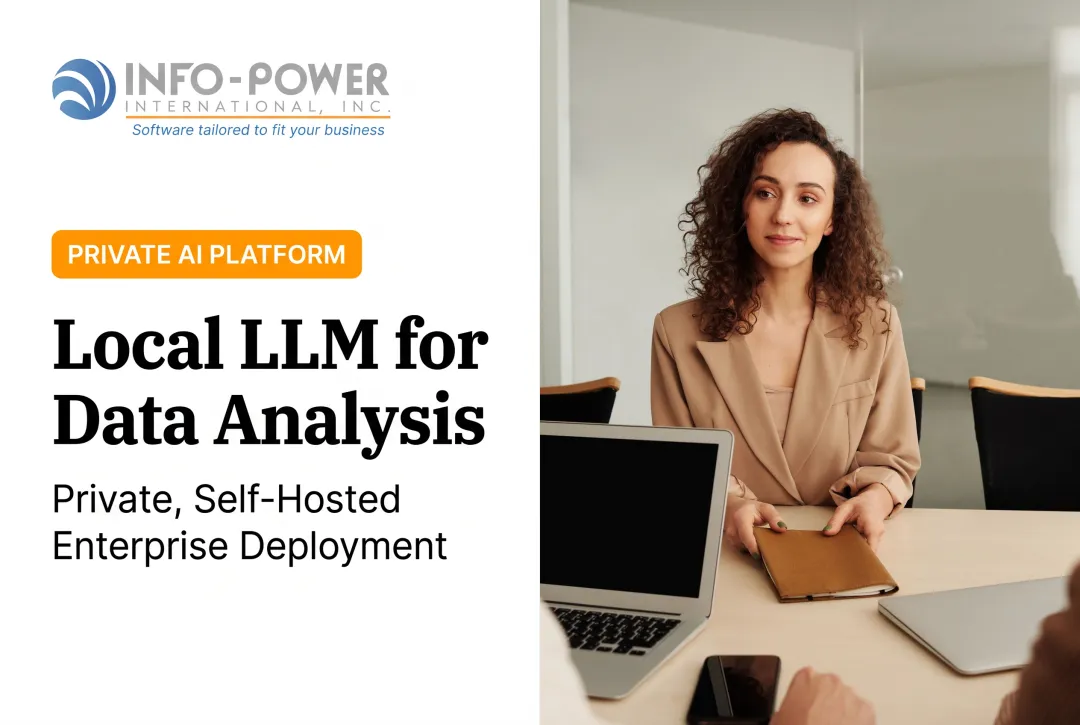 Local LLM for Data Analysis