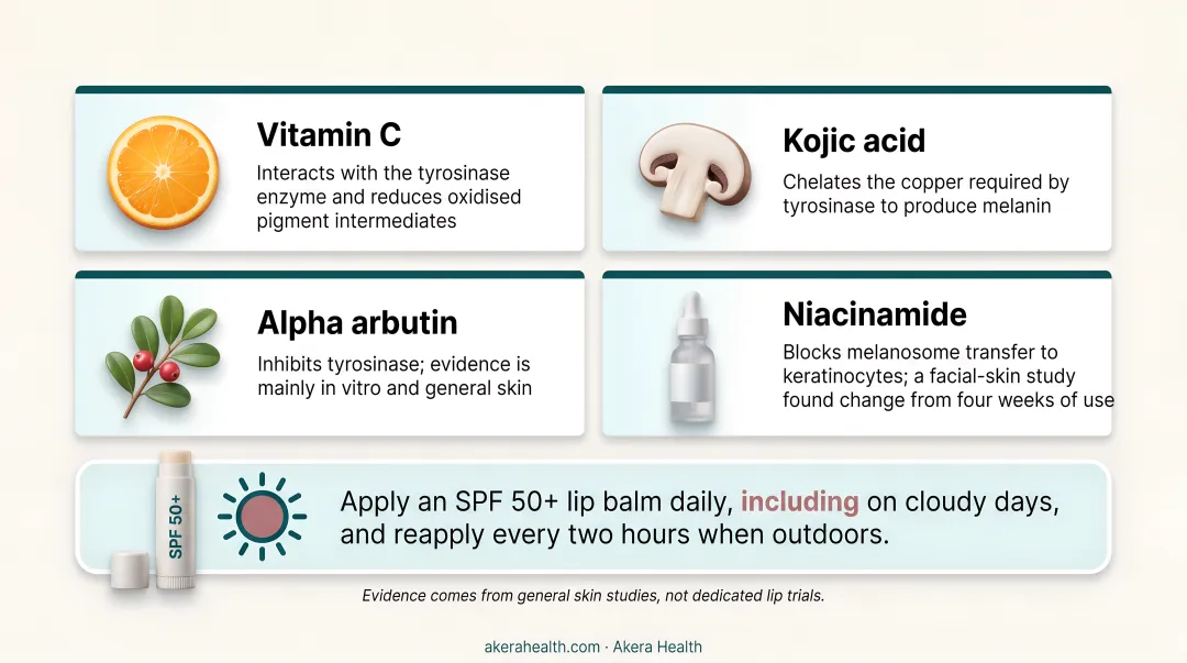 Four key brightening ingredients for lip pigmentation with mechanisms of action