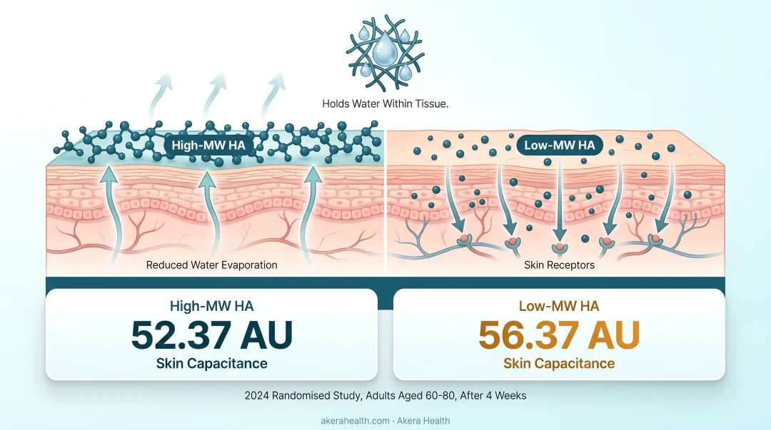 High versus low molecular weight hyaluronic acid skin penetration comparison infographic