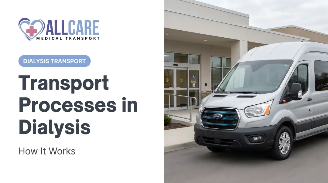 Transport Processes in Dialysis: How It Works