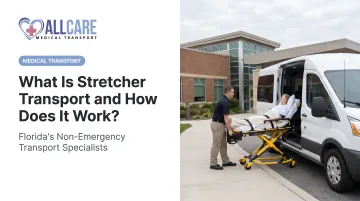 What Is Stretcher Transport and How Does It Work?