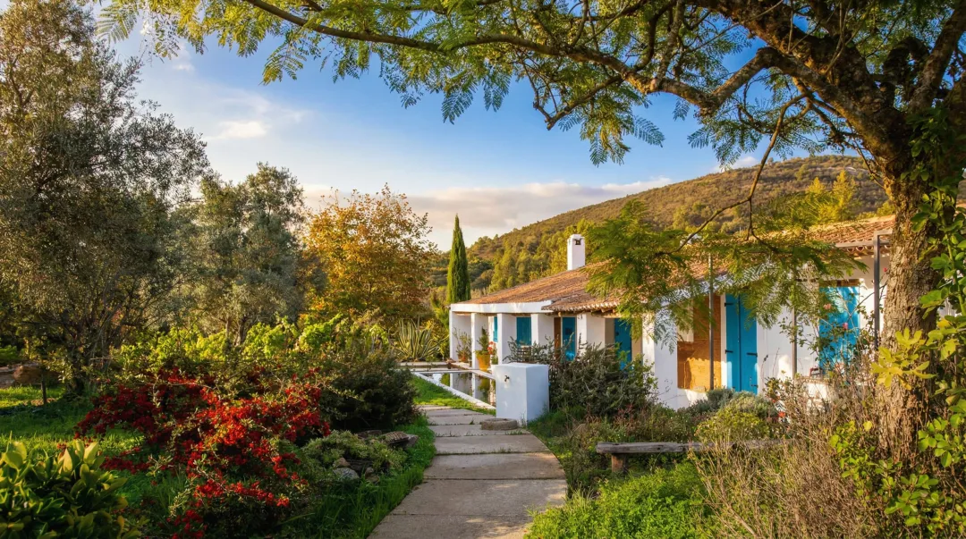 Scenic Portuguese interior region with rural farmhouse vineyard landscape