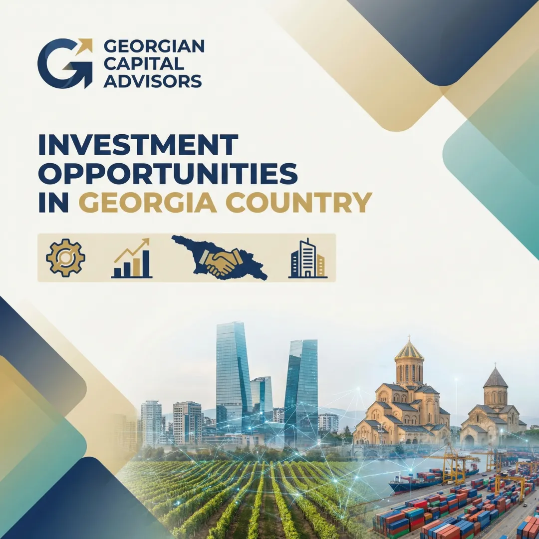 Investment Opportunities in Georgia Country