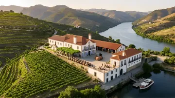 Vineyard & Wine Estate