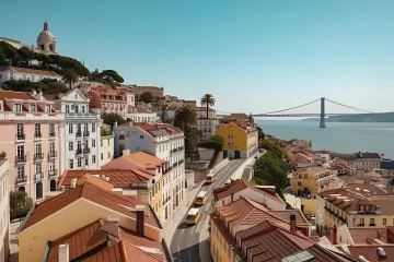 International Investment & Portfolio Diversification