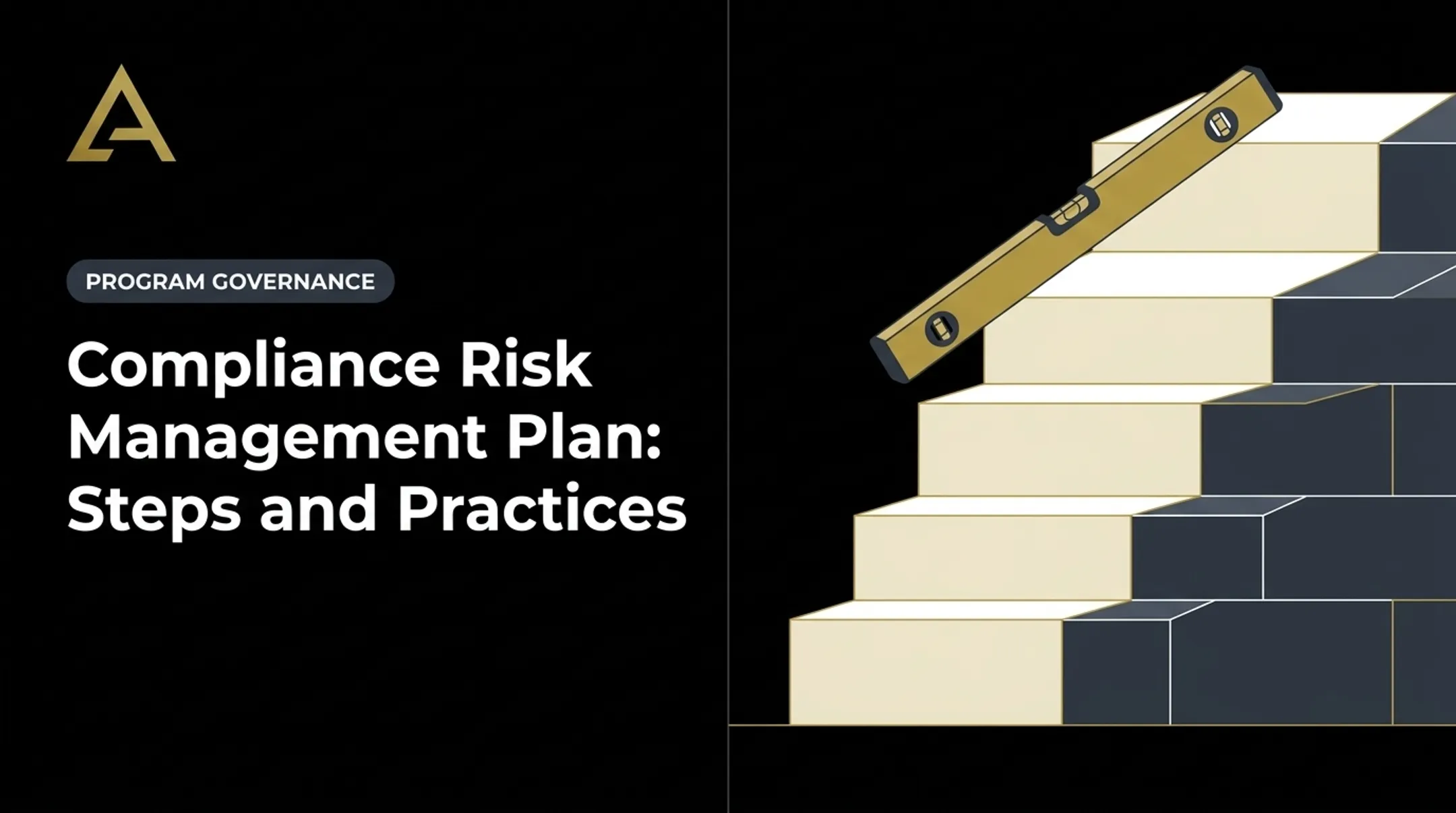 Compliance Risk Management Plan: Steps and Practices