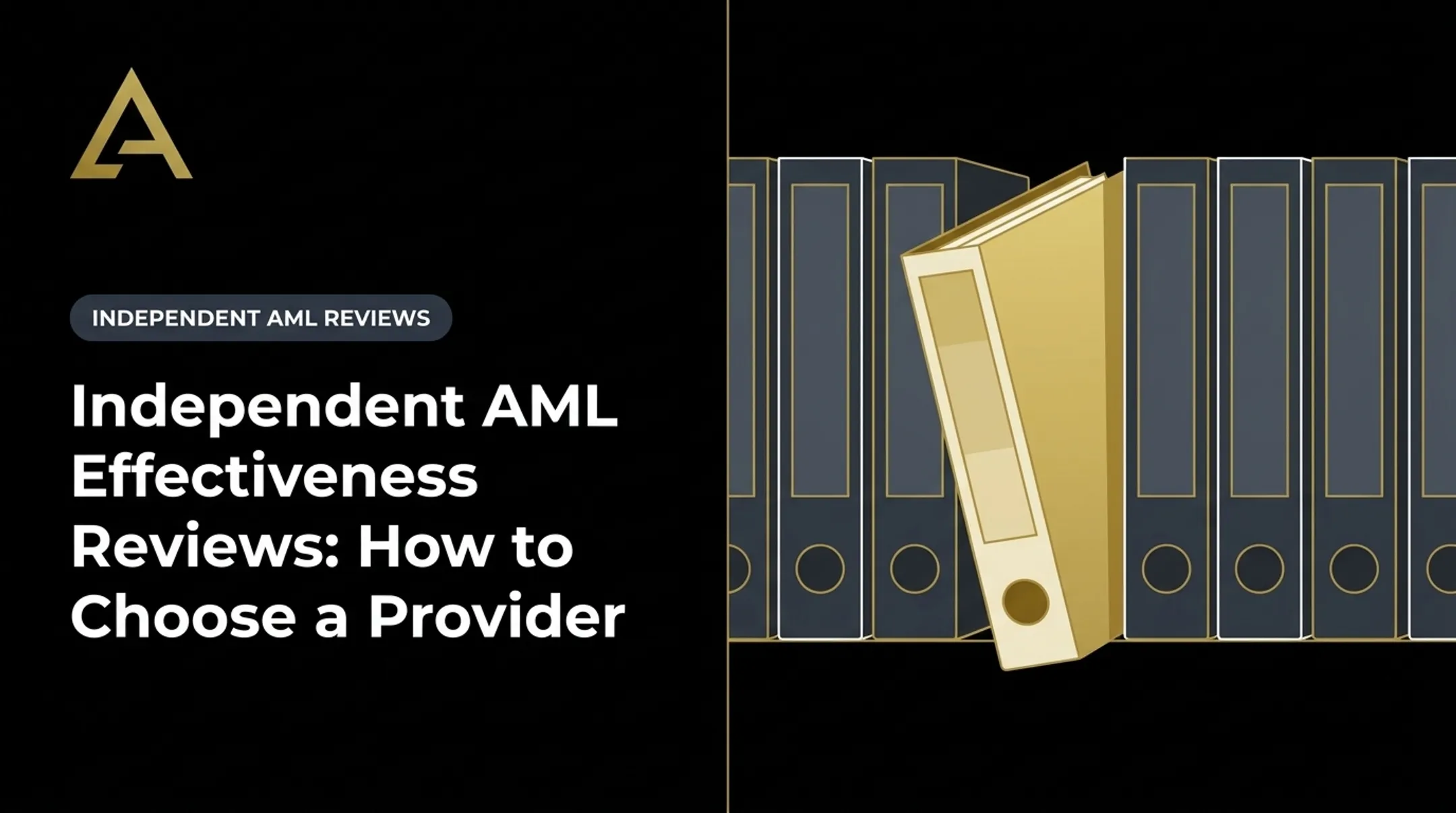 Independent AML Effectiveness Reviews: How to Choose a Provider