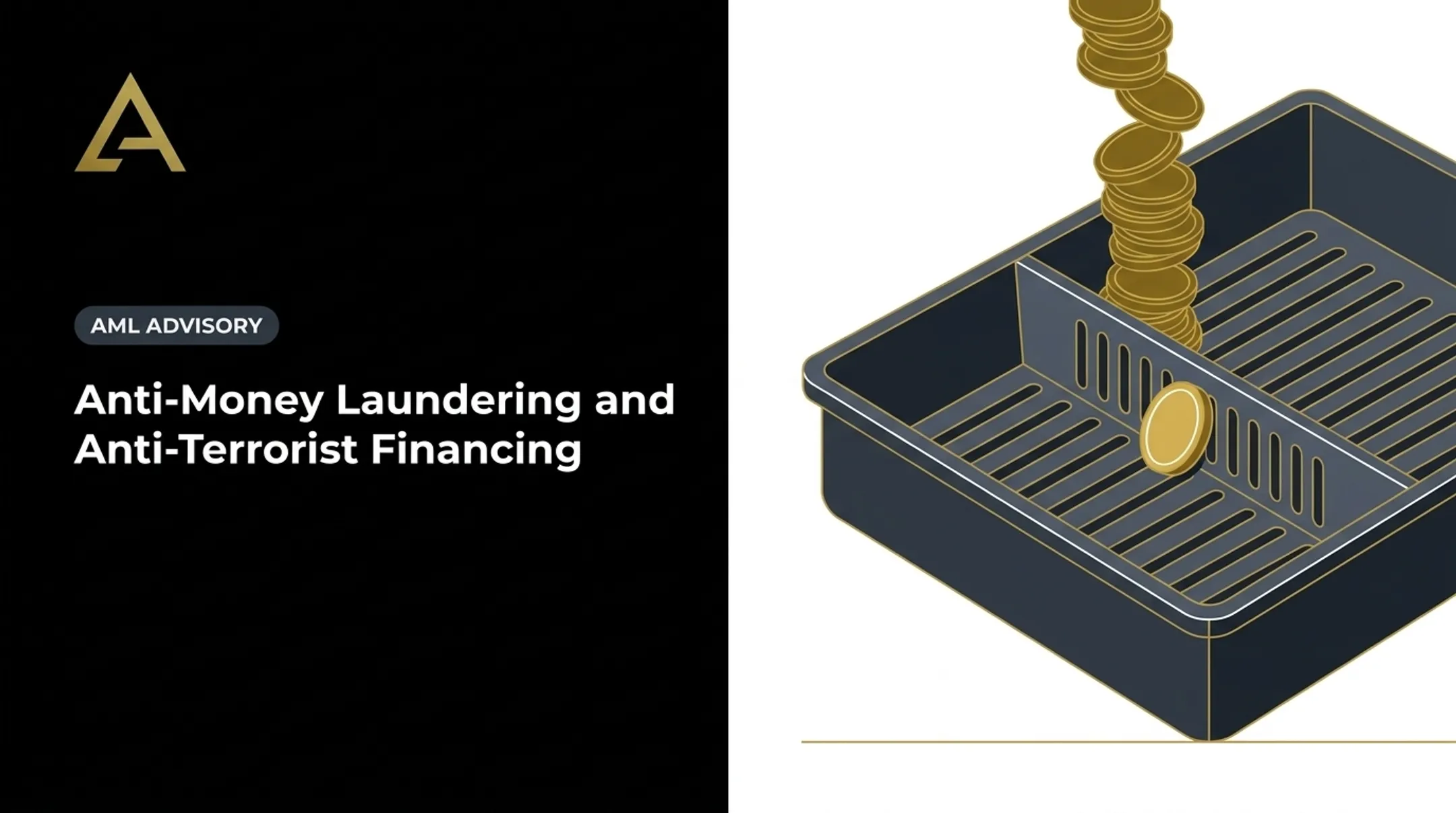 Anti-Money Laundering and Anti-Terrorist Financing