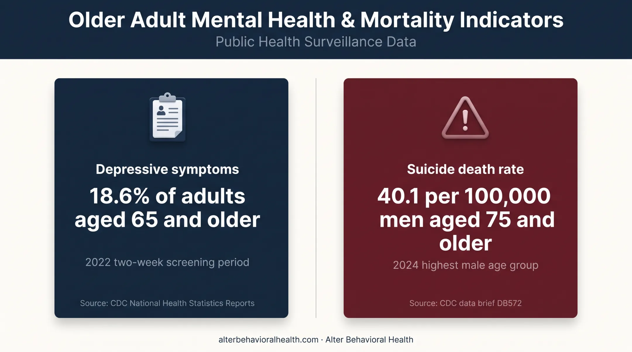 Late-life depression and suicide risk statistics among older adults