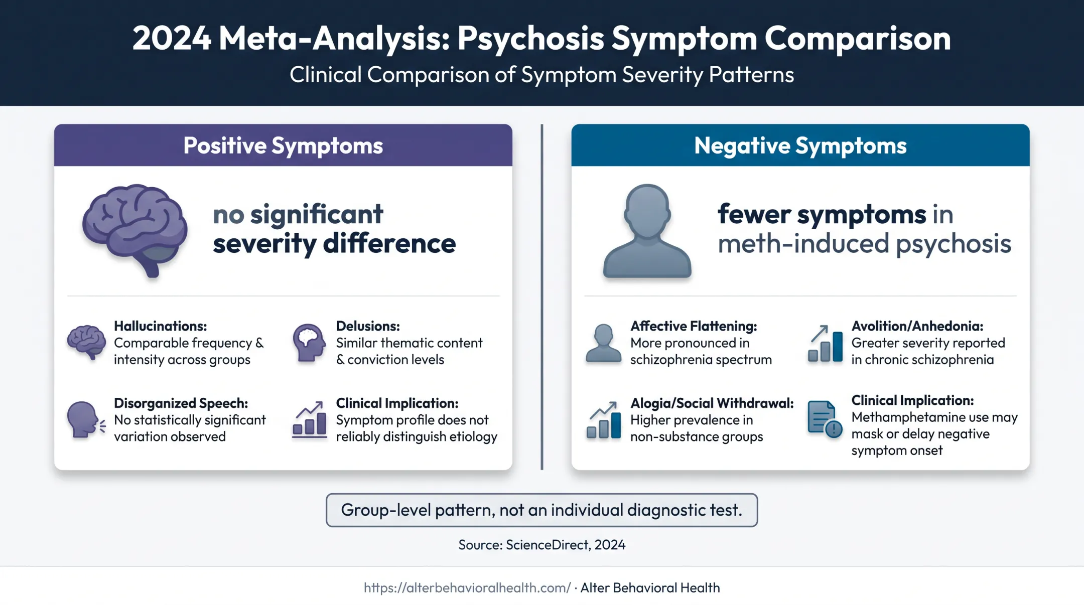 2024 meta-analysis findings on meth psychosis and schizophrenia symptoms