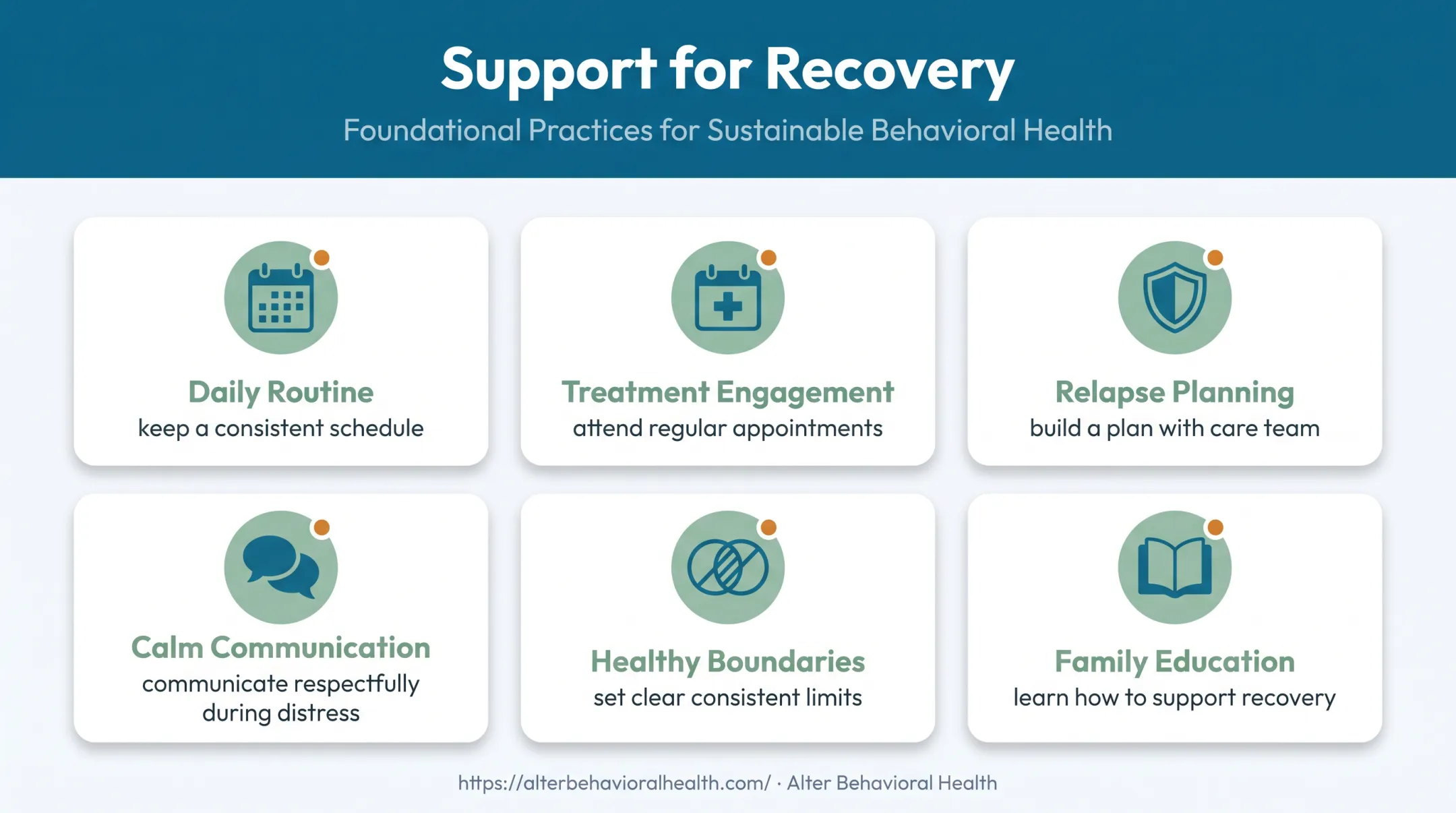 Schizophrenia recovery support strategies for individuals and families
