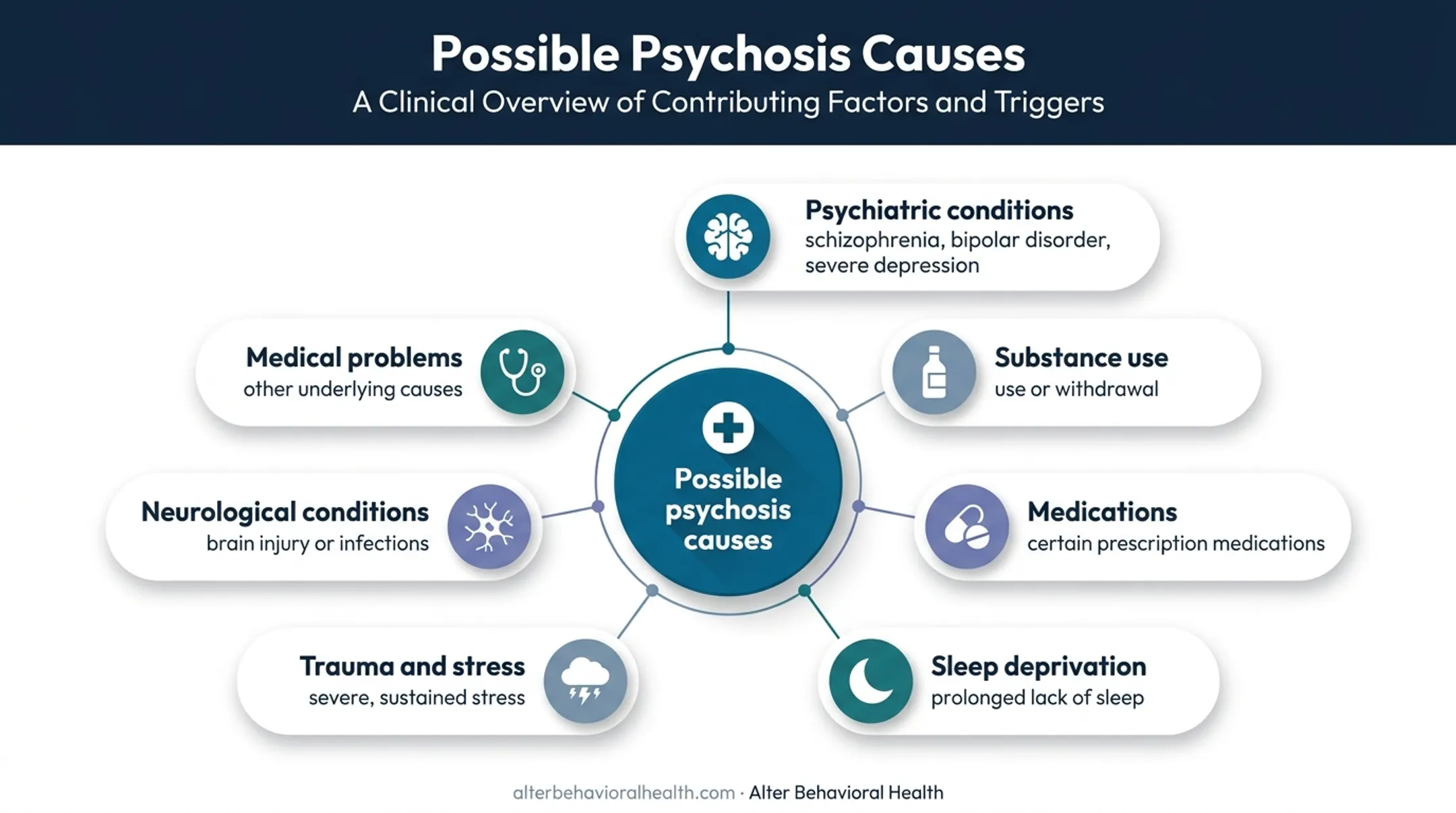 Seven possible causes and contributors to psychosis overview