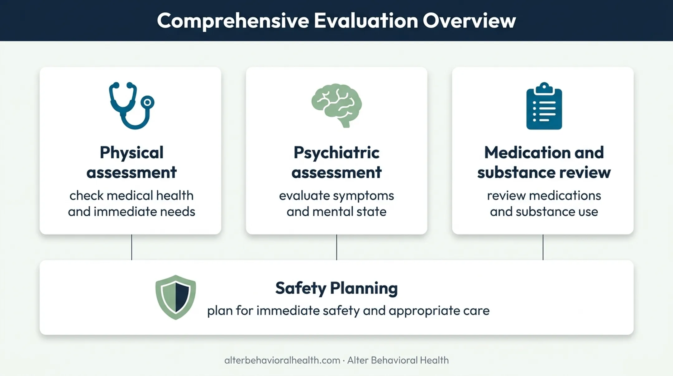 Three-part professional psychosis evaluation and safety planning overview