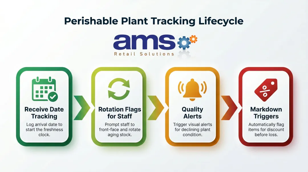 Four-step perishable plant inventory tracking process from receiving to markdown