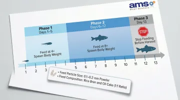 Nursery pond fry feeding schedule days one through thirteen with daily rates