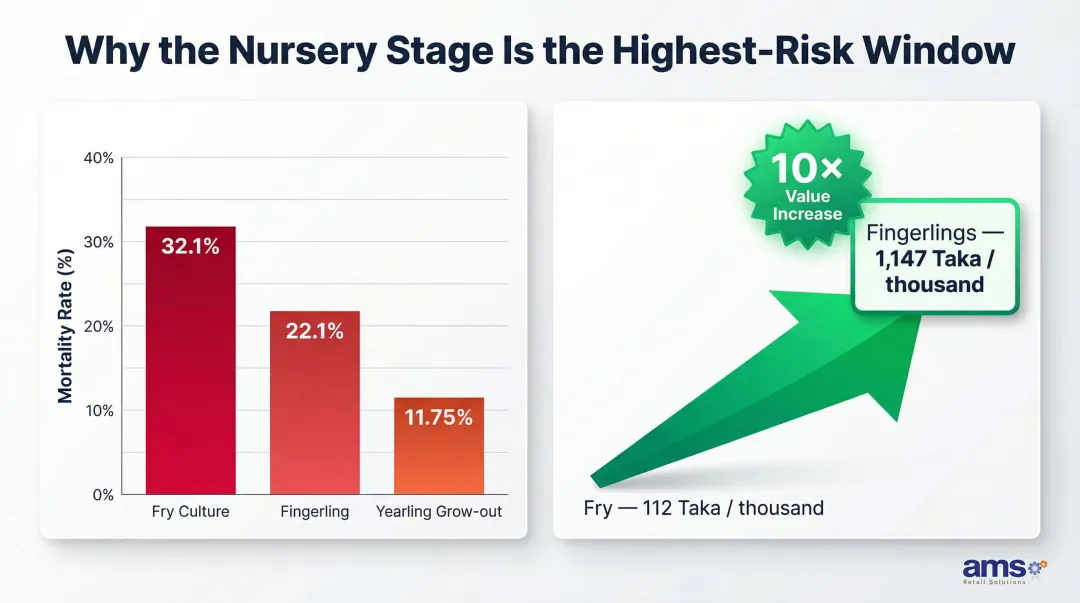 Fry to fingerling value increase and nursery mortality rate comparison infographic