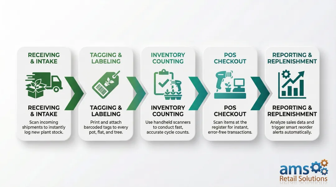 Nursery barcode workflow five stages receiving labeling counting checkout reporting