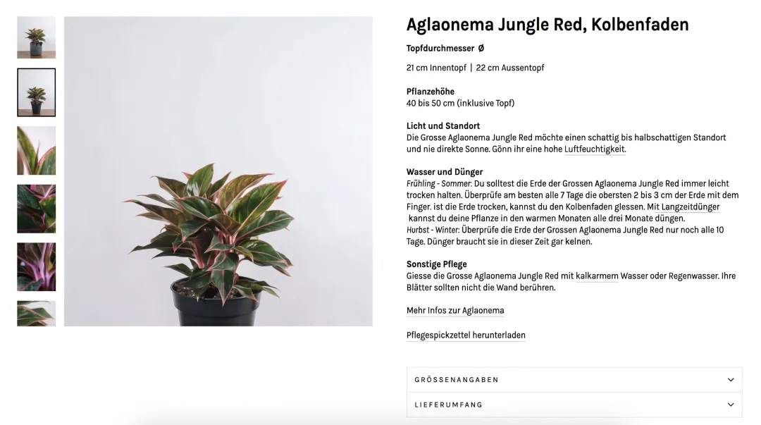 Online plant product listing page showing multiple photos care details and size information