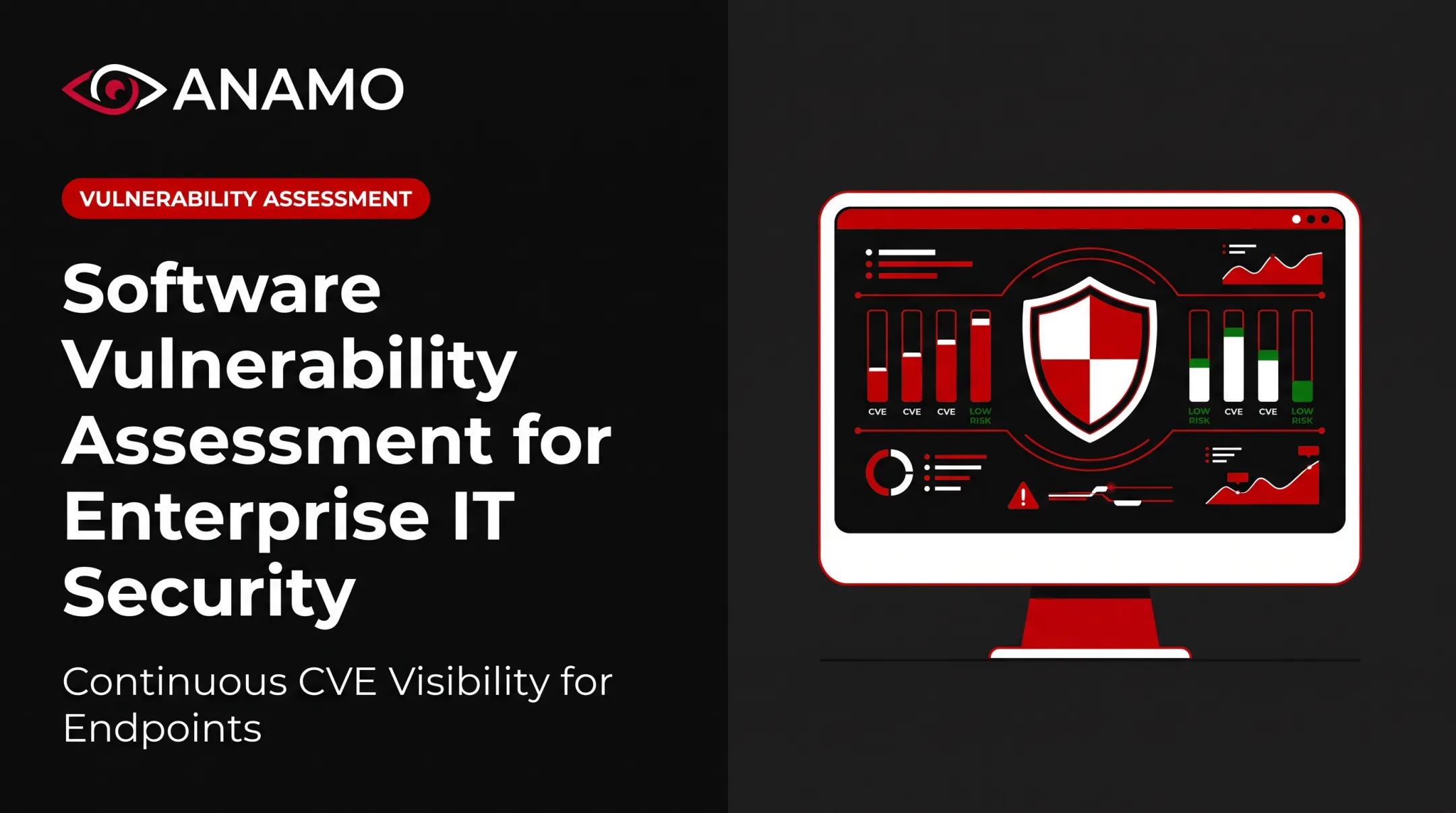 Software Vulnerability Assessment for Enterprise IT Security
