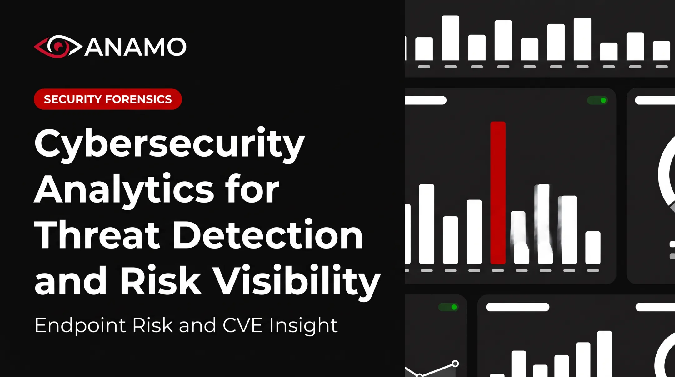 Cybersecurity Analytics for Threat Detection and Risk Visibility