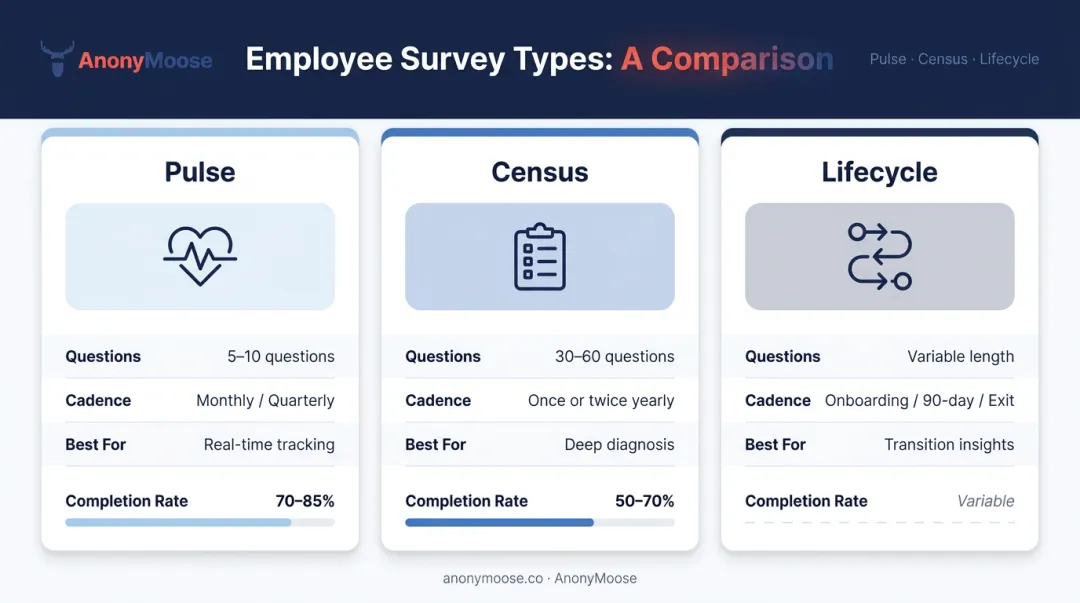Employee survey types comparison pulse census and lifecycle cadence and completion rates