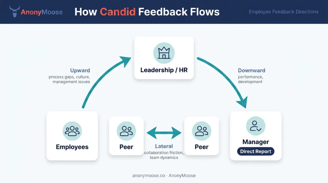 Three directions of candid employee feedback upward lateral and downward flow diagram