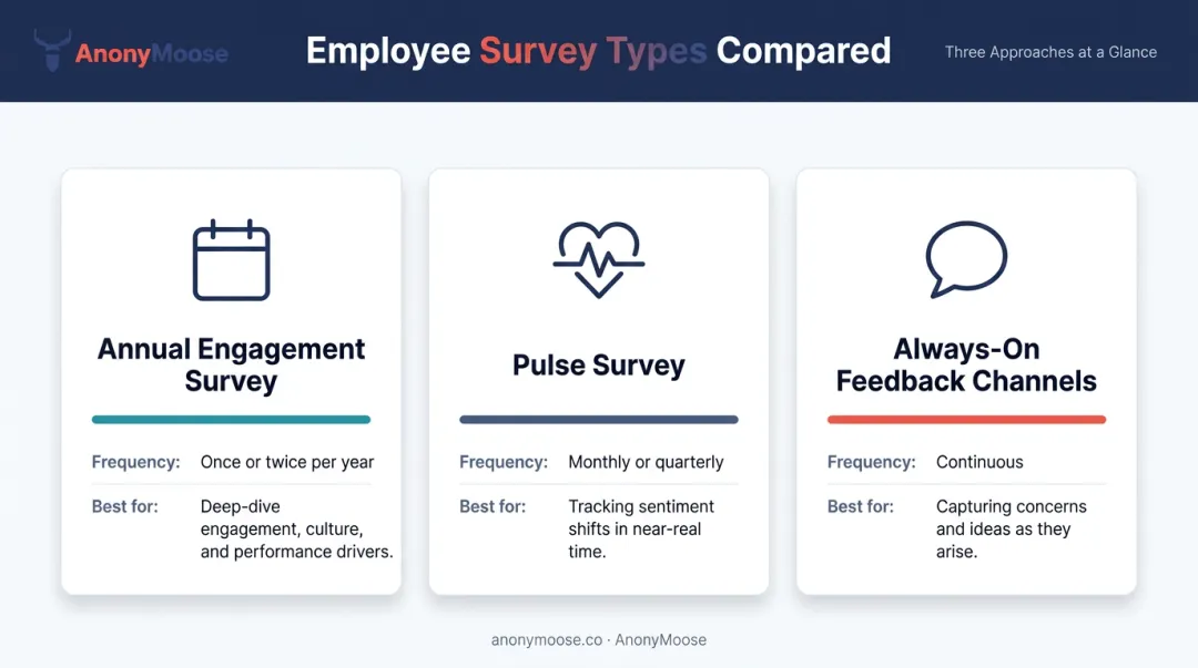 Three employee feedback survey types frequency and best use cases comparison