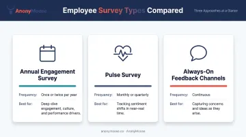 Three employee feedback survey types frequency and best use cases comparison