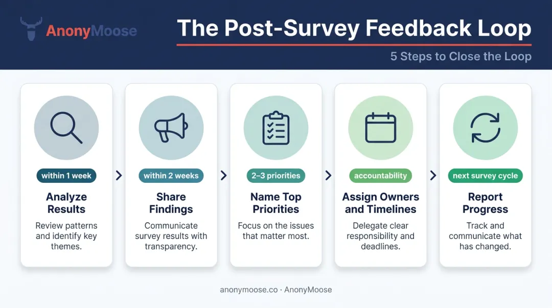 5-step pulse survey feedback loop process from analysis to next cycle reporting