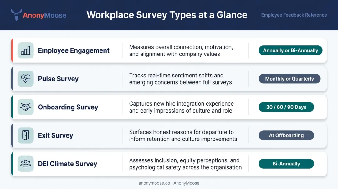 Five workplace survey types with purpose and recommended frequency breakdown