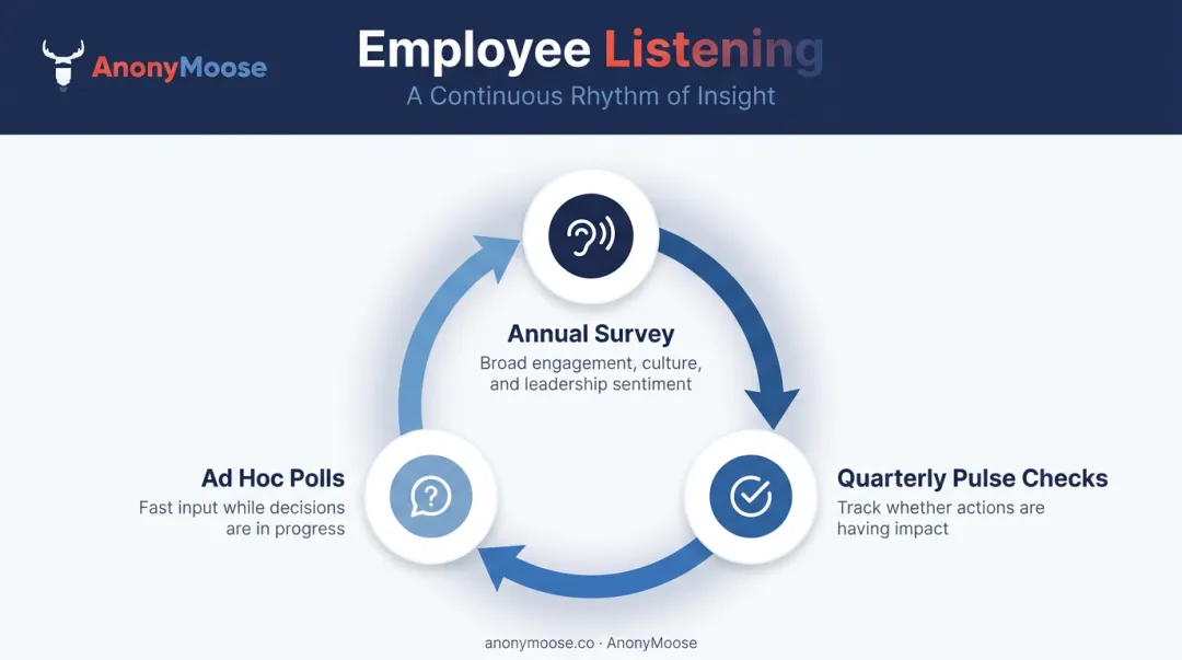 Continuous employee listening program cycle annual pulse and ad hoc survey rhythm